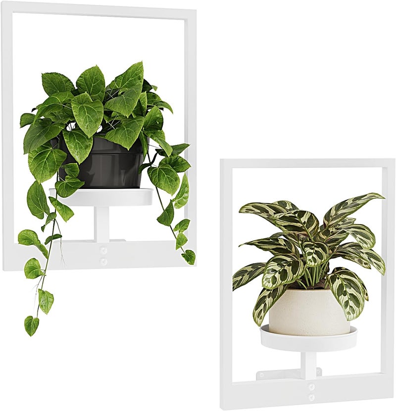 Bamworld White Plant Stand Indoor, Plant Hanger Wall Planters for Indoor Plants Window Plant Shelves Plant Holder Wall Decor, Room Decor (Patent Design) - Image 1